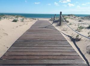 Recycled plastic beach walkways