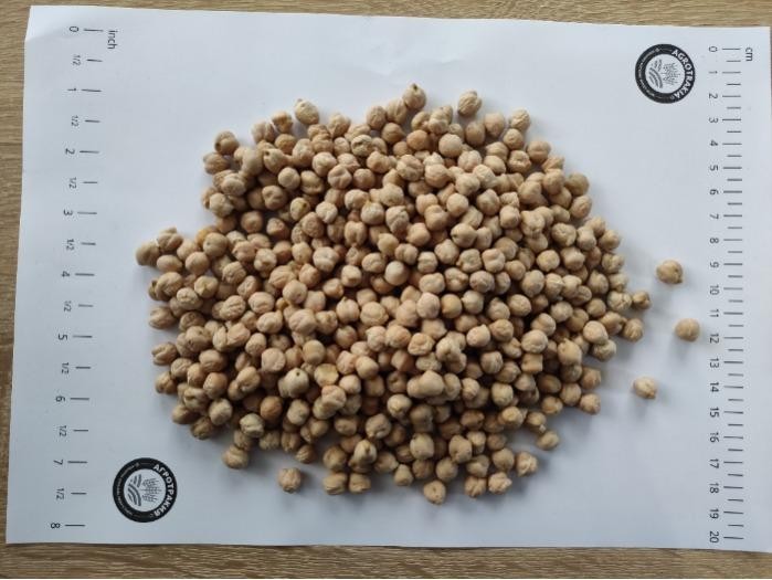 Red Lentils