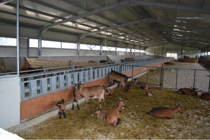Mobile milking system - MobiMaster