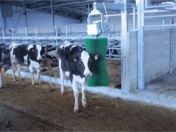 Mobile milking system - MobiMaster