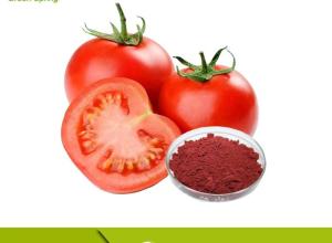 Lycopene Powder