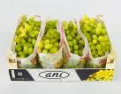 Table grape