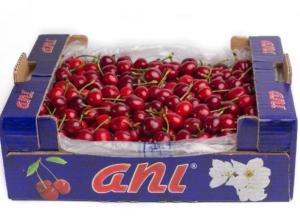 Cherry