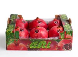 Pomegranate