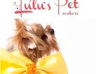 Pet clothes