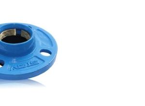 Locked flange adapter