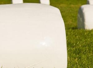 Polyplus® – Uv Stabilizers