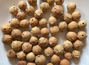 Oak Gallnuts Whole or Powder | White
