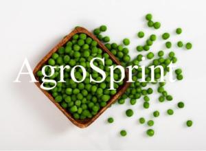 IQF Frozen Green peas