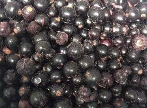 Black currant IQF (Ribes nigrum)