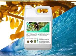 Biostimulant for olive trees