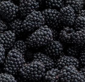 Black currant