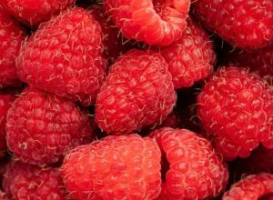 Raspberry