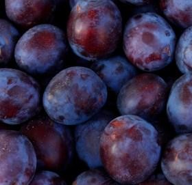 Black currant