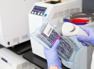 Device Packaging and Sterilization