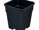 Pot