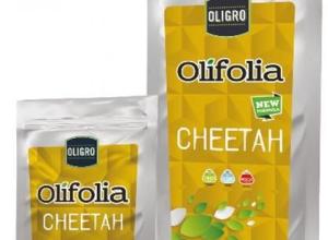OLIFOLIA CHEETAH