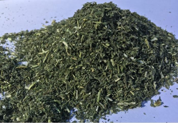Pre Packed Catnip