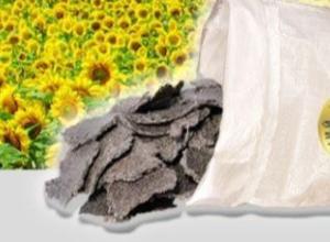 Organic sunflower cake