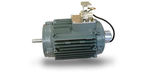 Electric Motors, Customised Versions