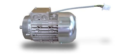 Electric Motors, Customised Versions