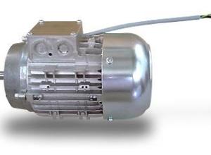 Reluctance Motors