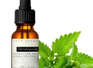 Full spectrum cbd oil 20% Mint flavor