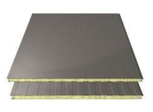 Composite sandwich panels for walls