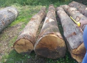 Red Oak Logs