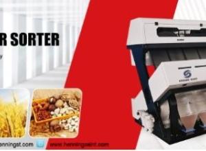 Henning Saint millet color sorter