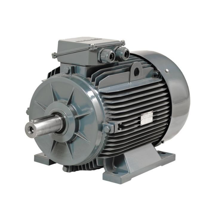 Micro Alternator 3kW