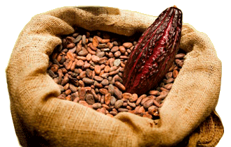 Annatto