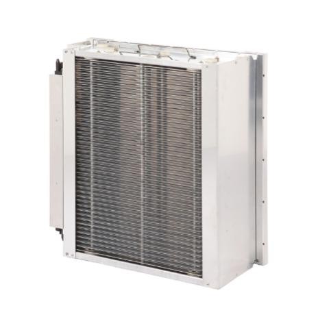 Bipolar Plasma Ionizer