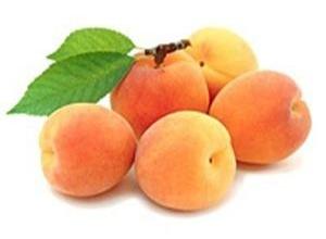 Apricot
