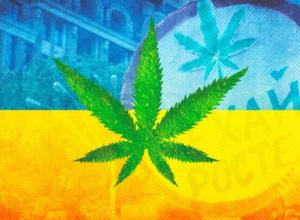 We invest in ideas, startups, projects (hemp, cannabis)
