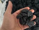 Pitted Dried Prunes for a confectionery factory