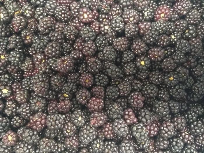 IQF RASPBERRY CRUMBLE