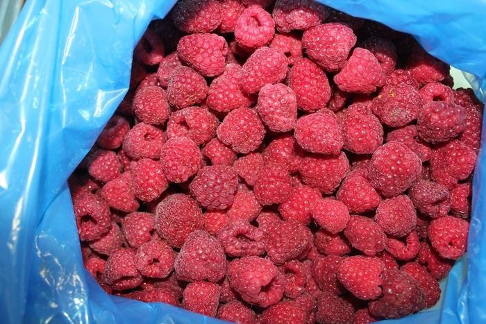 IQF RASPBERRY CRUMBLE