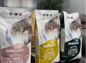 Cat Litter