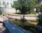 Selling a hotel, hotel in Odessa, Luzanovka district