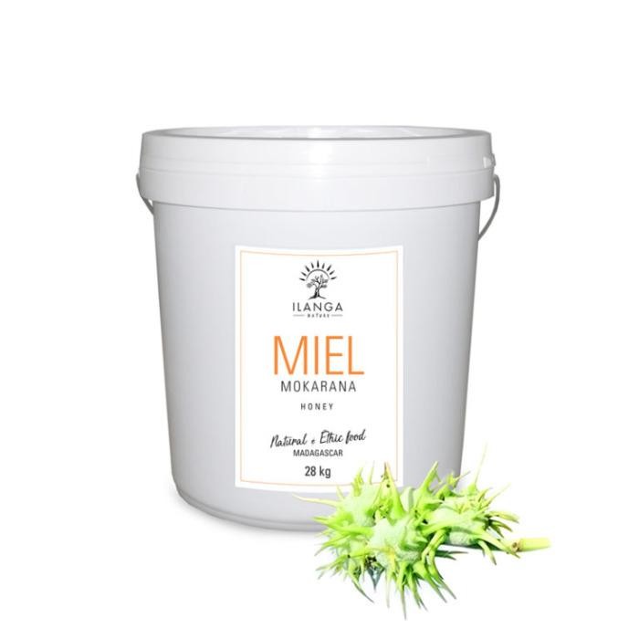 Wild Honey from Rainforest 