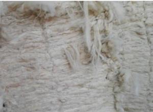 Scoured wool for carpet grade