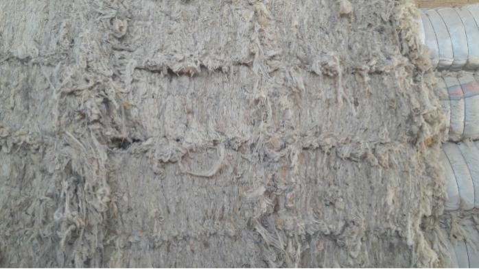 Scoured wool for carpet grade