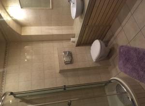  Selling hostel and small production