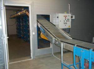Cage equipment for growing an industrial herd of laying hens