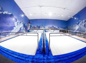 Indoor PROLESKI PRO1 ski simulator snowboarding skiing 