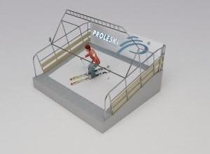 Indoor entertainment PROLESKI PRO1 ski simulator 
