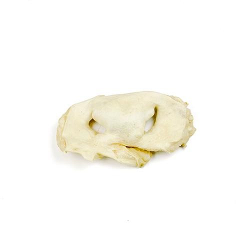Chicken feet white