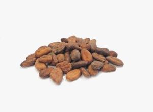Cocoa Beans