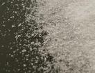 Polypropylene waxes